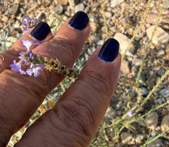 Verbena neomexicana