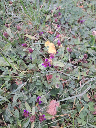 Large Self-heal