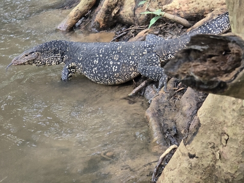 Common Water Monitor
