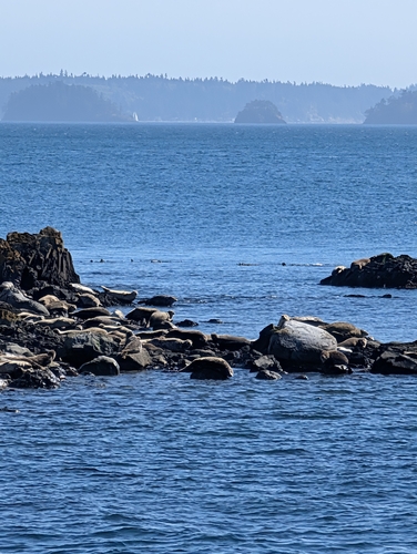 (c) hartway, some rights reserved (CC BY-NC)
