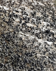 Lecanora hypoptoides