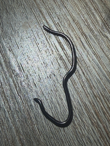 Serpentes, 2026-09-27