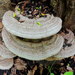 Ganoderma applanatum - Photo (c) Sokolov Yuriy Ivanovich, μερικά δικαιώματα διατηρούνται (CC BY-NC), uploaded by Sokolov Yuriy Ivanovich