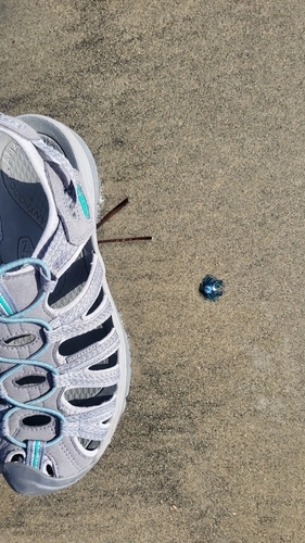 Blue Button