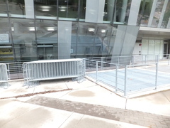 Geothlypis philadelphia