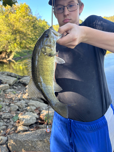 Smallmouth Bass