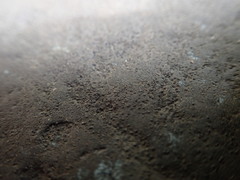 Hydropunctaria maura