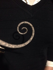 Polychrus acutirostris