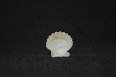 Leptopecten tumbezensis