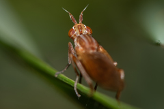 Elgiva solicita