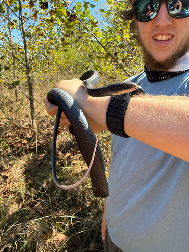 North American Racer