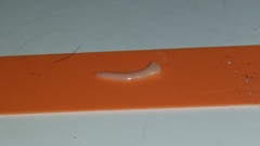 Cestoda