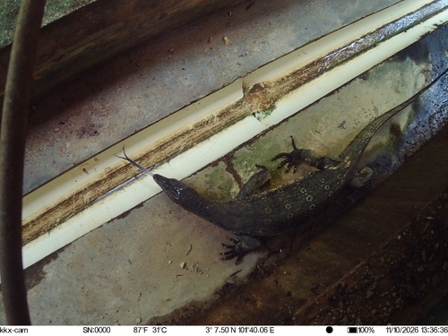 Common Water Monitor