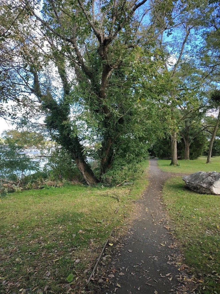 A photograph from Oct 12, 2026 near Lower Hudson Valley & NYC day trips, where the observer’s point is approximate.