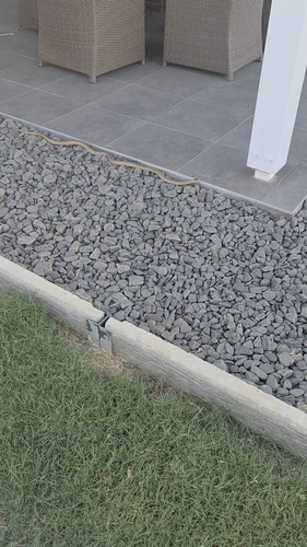 Eastern Brown Snake