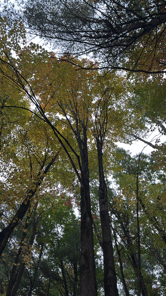 A photograph from Oct 12, 2026 near Burlington, Shelburne & Lake Champlain, where the observer’s point is approximate.