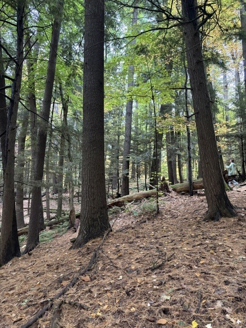 A photograph from Oct 12, 2026 near Burlington, Shelburne & Lake Champlain, where the observer’s point is approximate.