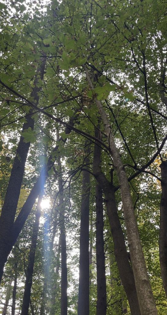 A photograph from Oct 12, 2026 near Burlington, Shelburne & Lake Champlain, where the observer’s point is approximate.