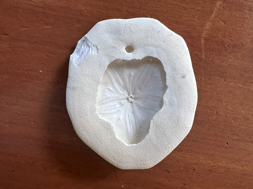 Laganum observed 2026-10-12