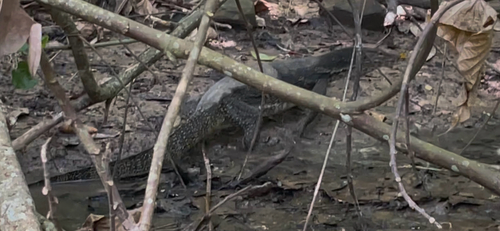 Common Water Monitor