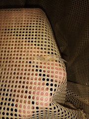 Palaemon kadiakensis