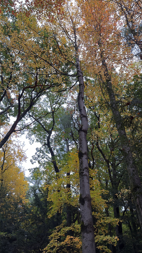 A photograph from Oct 14, 2026 near Burlington, Shelburne & Lake Champlain, where the observer’s point is approximate.