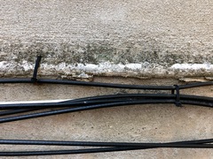 Physciella chloantha