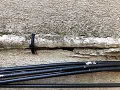 Flavoplaca flavocitrina