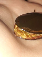 Megadytes lhermineri