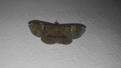 Azeta
