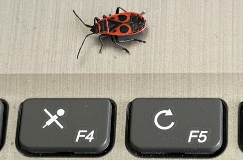 European Firebug