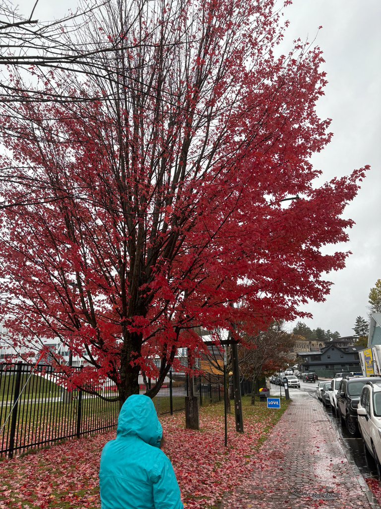 A photograph from Oct 16, 2026 near Saranac Lake village, where the observer’s point is approximate.