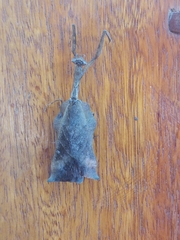Plesiacanthops