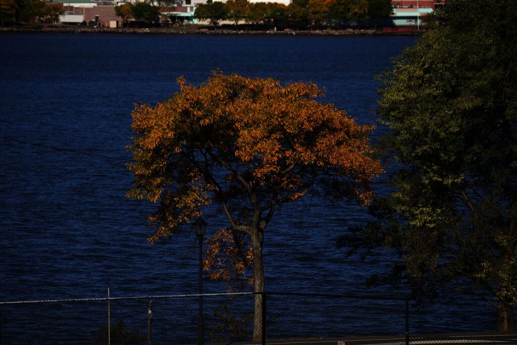 A photograph from Oct 18, 2026 near Lower Hudson Valley & NYC day trips, where the observer’s point is approximate.