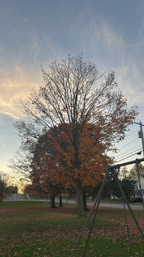 A photograph from Oct 18, 2026 near Middlebury Gap & Snow Bowl, where the observer’s point is approximate.