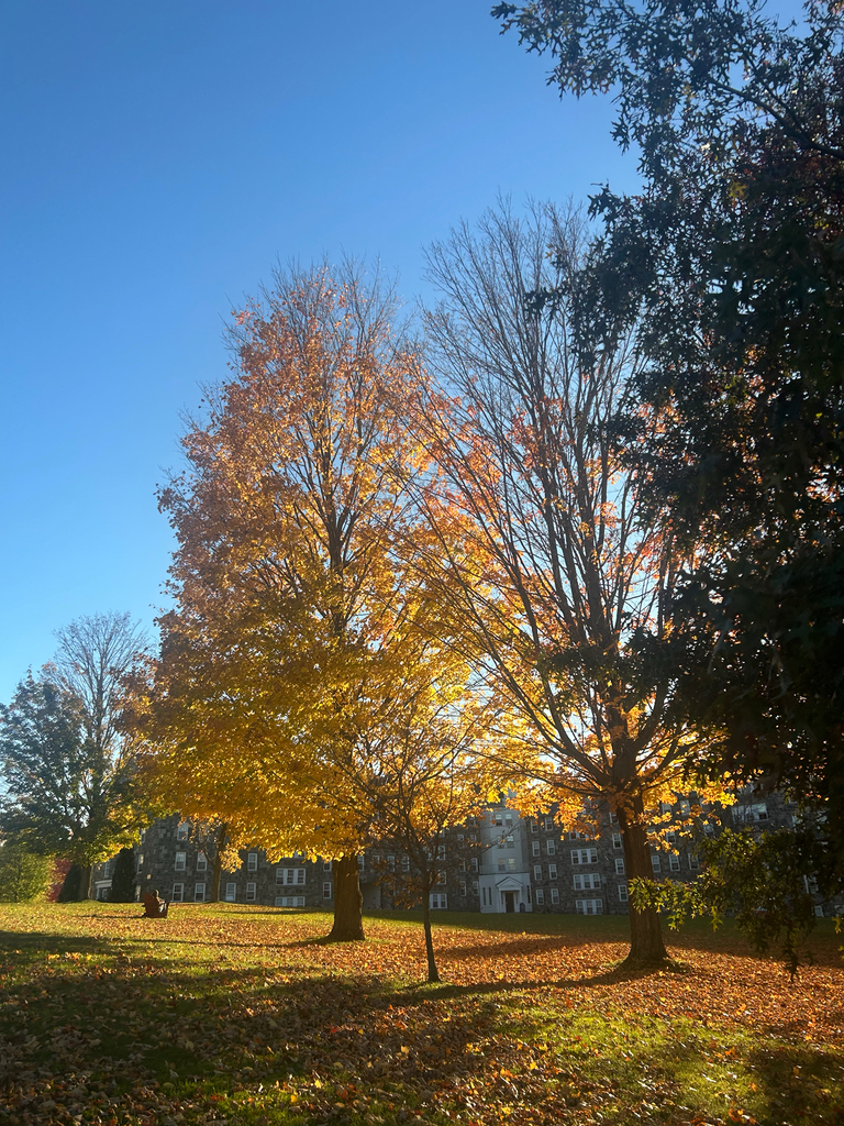 A photograph from Oct 17, 2026 near Middlebury Gap & Snow Bowl, where the observer’s point is approximate.