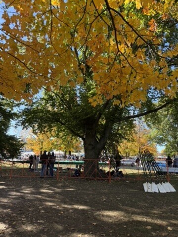A photograph from Oct 18, 2026 near Mount Auburn Cemetery, where the observer’s point is approximate.