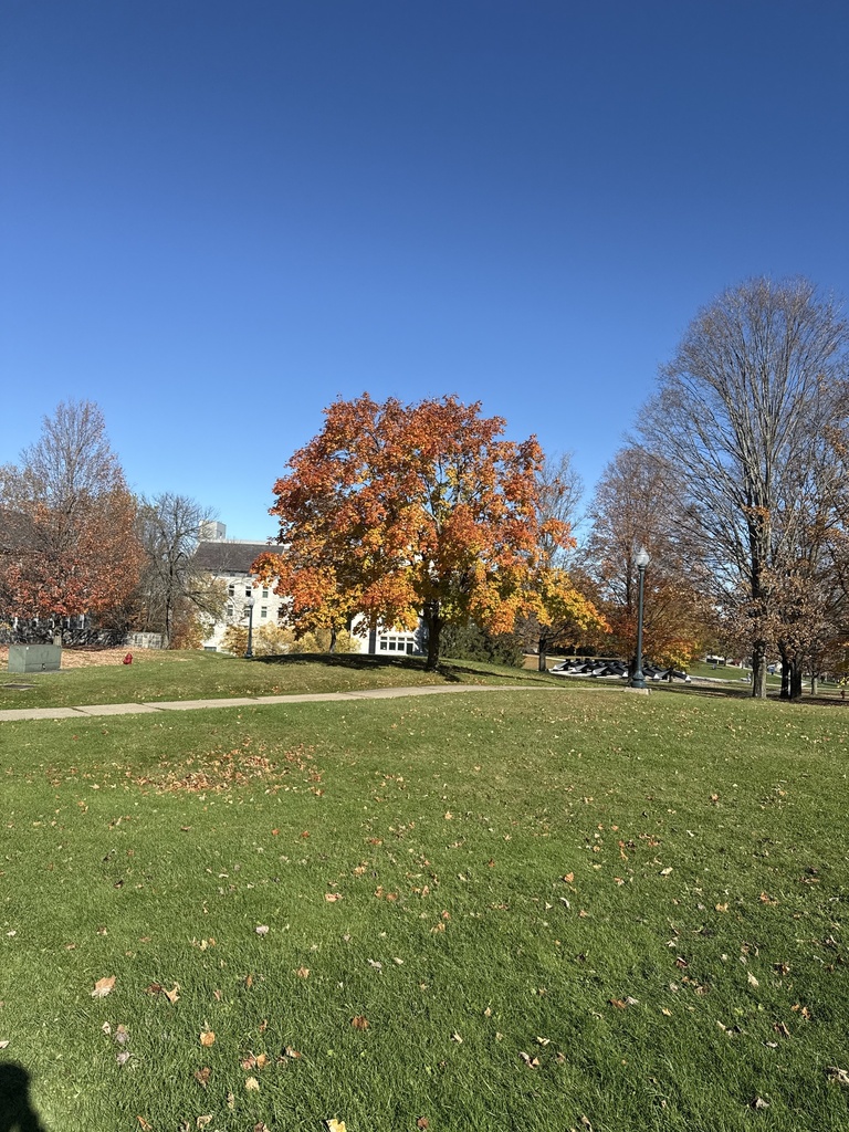 A photograph from Oct 19, 2026 near Middlebury Gap & Snow Bowl, where the observer’s point is approximate.
