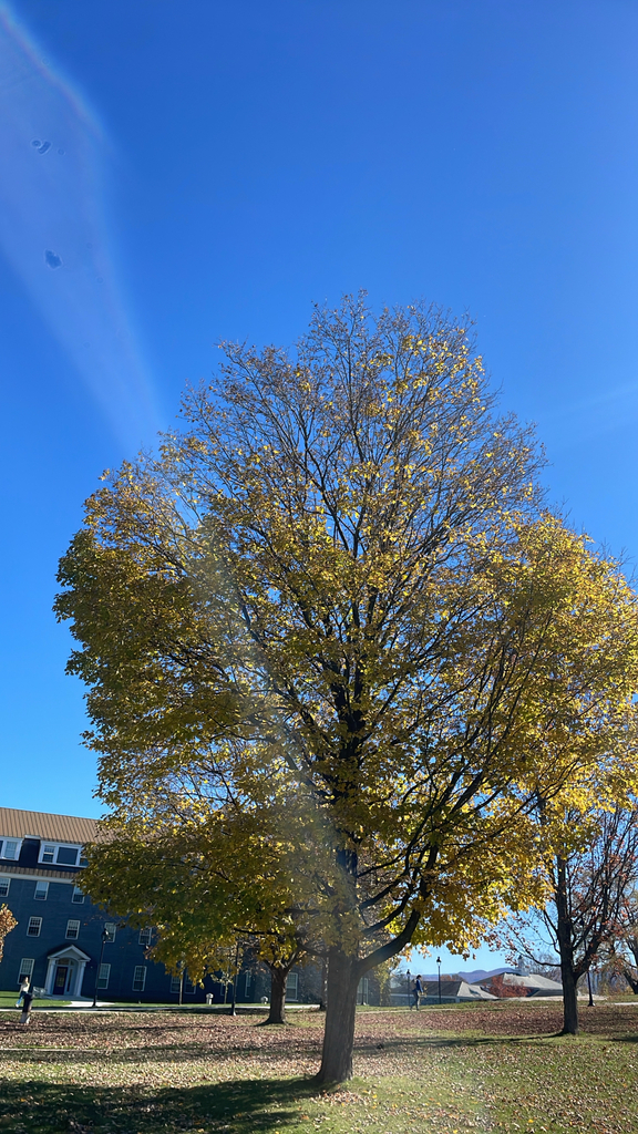 A photograph from Oct 19, 2026 near Middlebury Gap & Snow Bowl, where the observer’s point is approximate.