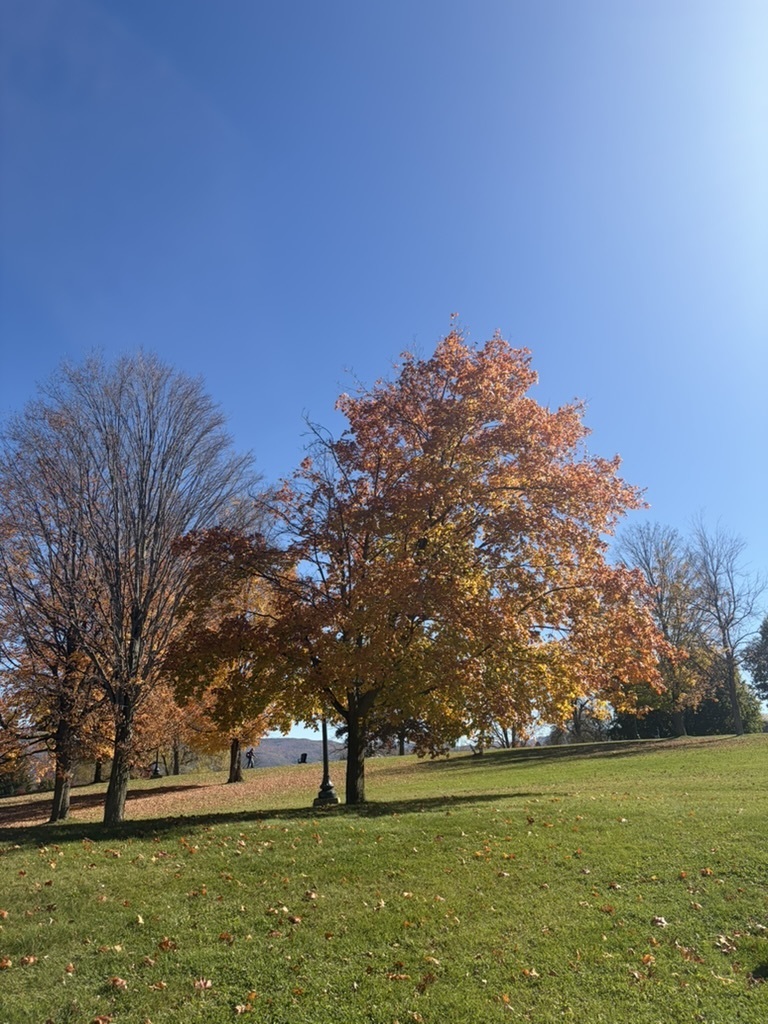 A photograph from Oct 19, 2026 near Middlebury Gap & Snow Bowl, where the observer’s point is approximate.