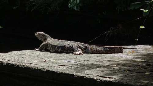 Common Water Monitor