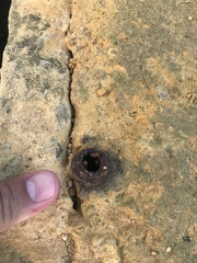 Tetragonula melanocephala