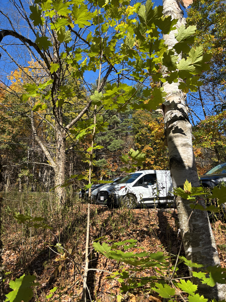 A photograph from Oct 20, 2026 near Washington & October Mountain area, where the observer’s point is approximate.