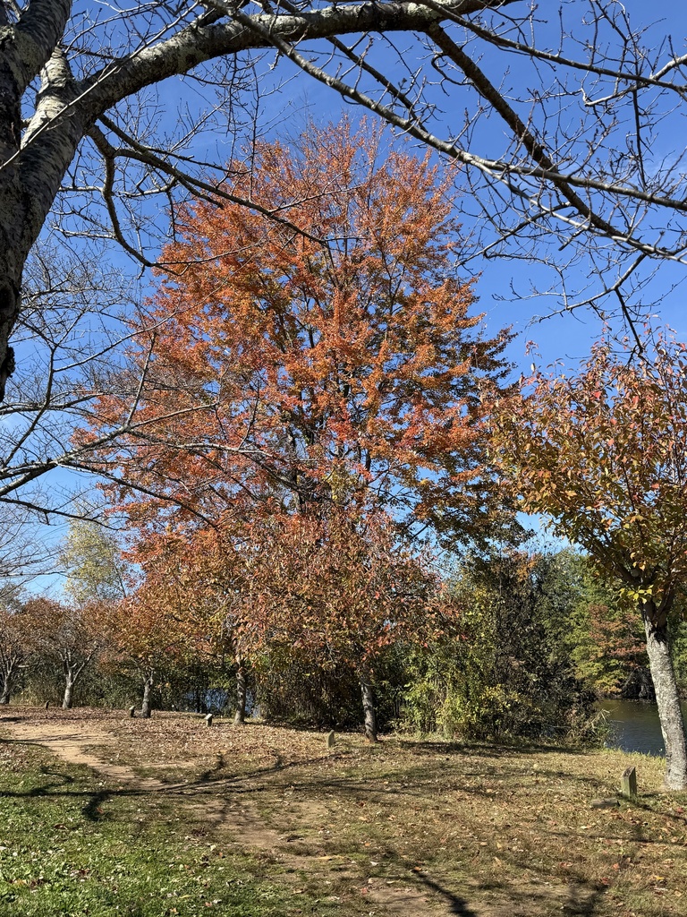 A photograph from Oct 21, 2026, about 30 miles from Bushkill Falls, Pocono Mountains, where the observer’s point is approximate.