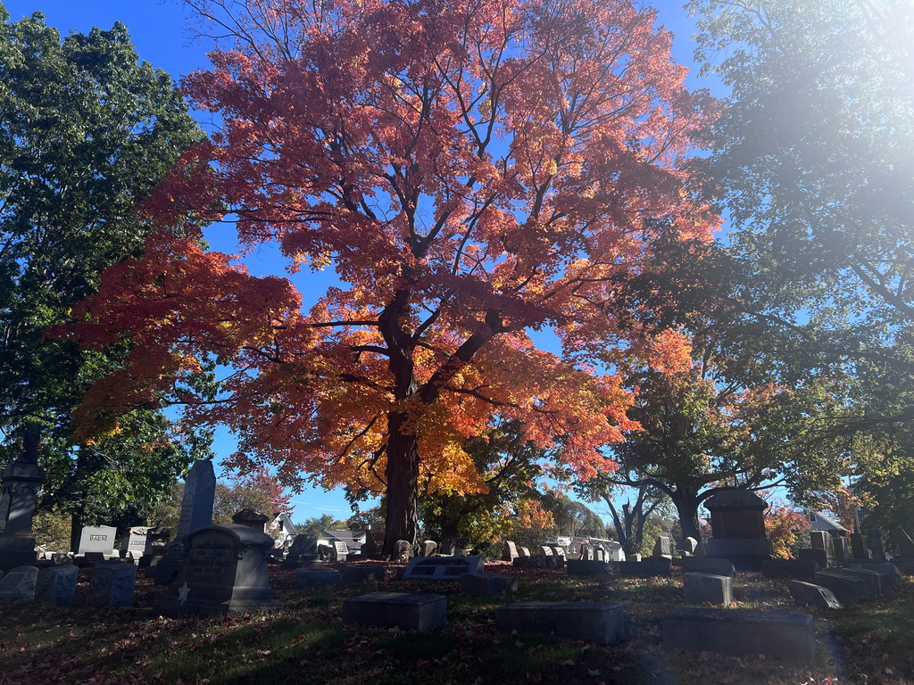 A photograph taken in Pennsylvania on Oct 21, 2026, where the observer’s point is approximate.