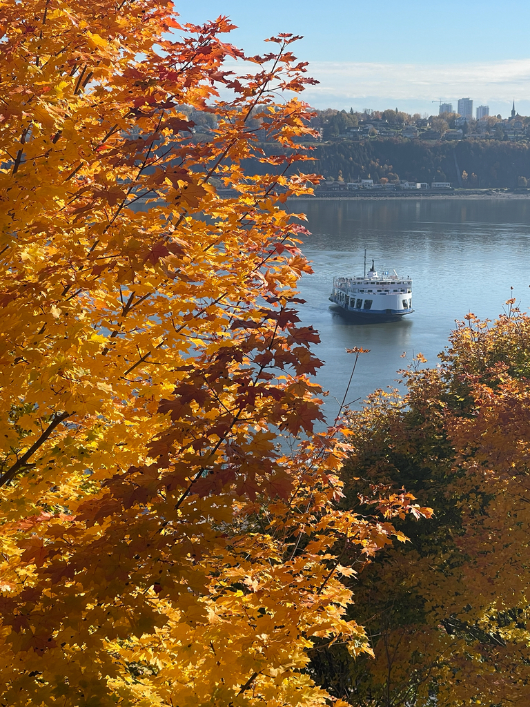 A photograph from Oct 22, 2026, about 24 miles from Lac Clair & Québec City hinterland, where the observer’s point is approximate.