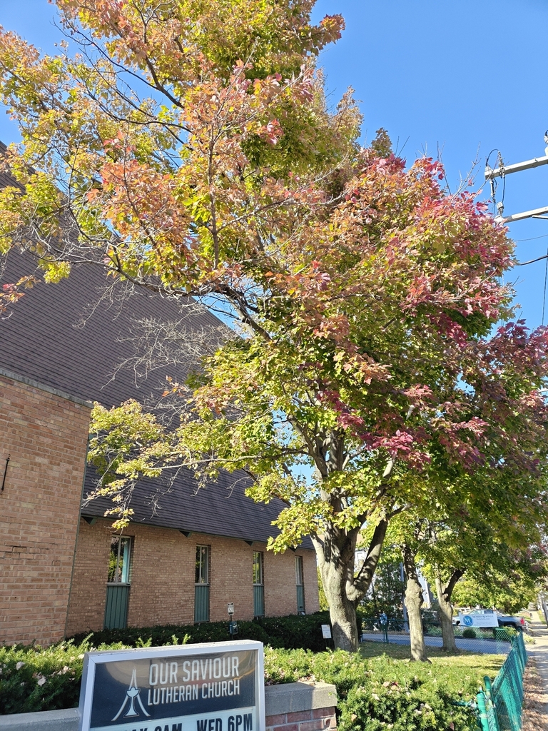 A photograph taken in Indiana on Oct 22, 2026, where the observer’s point is approximate.
