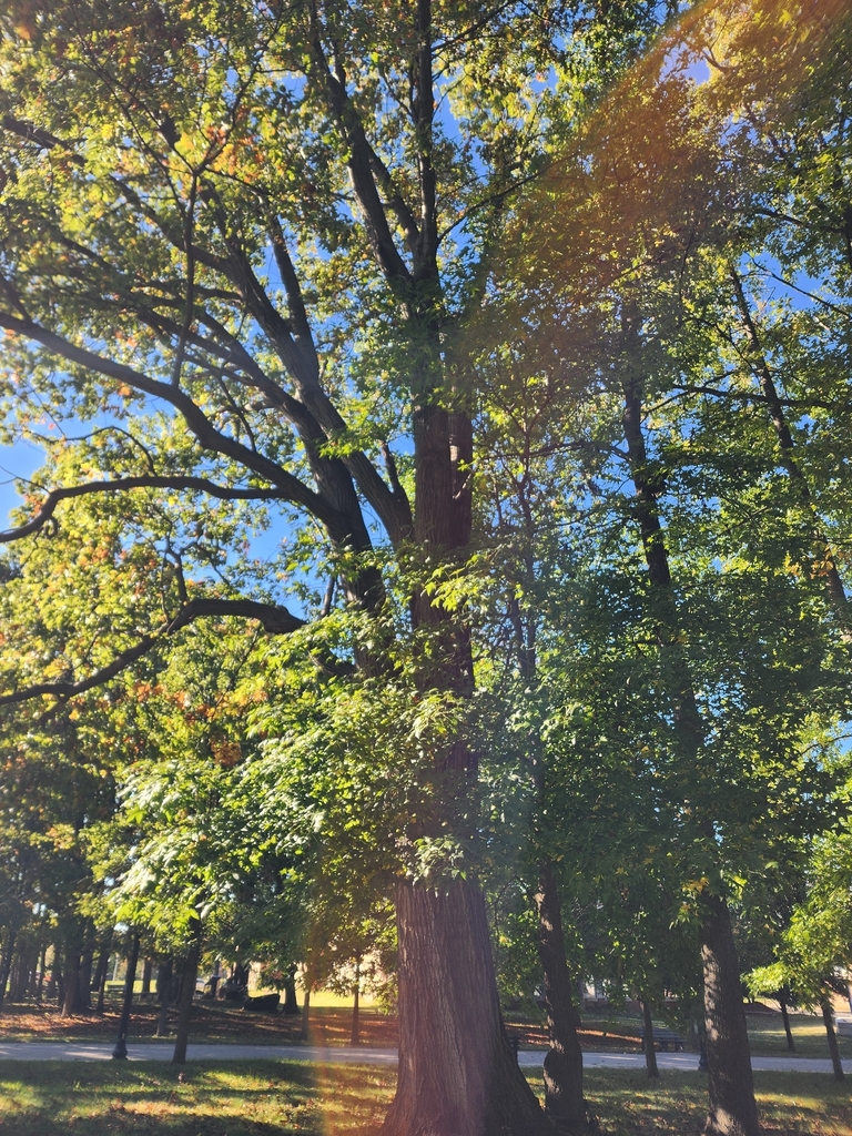 A photograph from Oct 22, 2026, about 31 miles from Lower Hudson Valley & NYC day trips, where the observer’s point is approximate.
