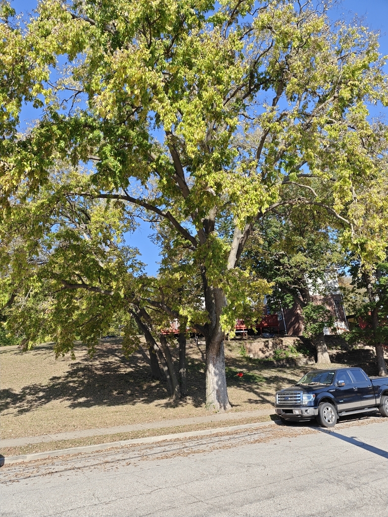 A photograph taken in Indiana on Oct 22, 2026, where the observer’s point is approximate.