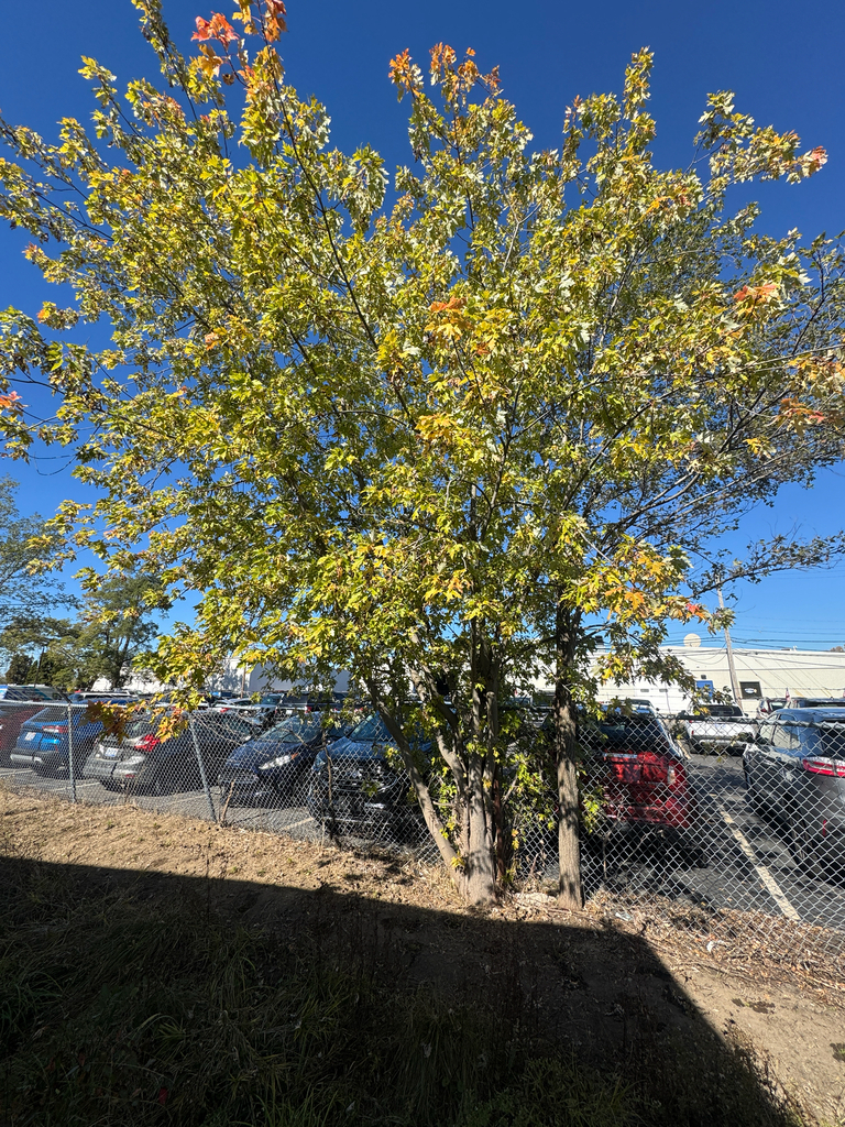 A photograph taken in Michigan on Oct 21, 2026, where the observer’s point is approximate.